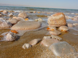 dead sea